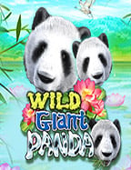 joker123 เล่น หน้า เว็บ: วิธีเล่นเกมสนุกๆ ที่ควรรู้